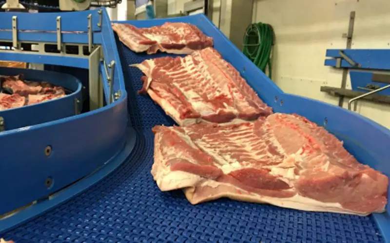 Esteiras modulares Ammeraal Beltech-frigorifico-img