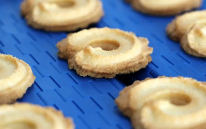 Esteiras modulares Ammeraal Beltech-img