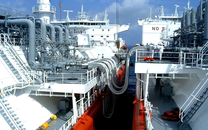 Imagem Mangueira Gutteling para o post_800x500